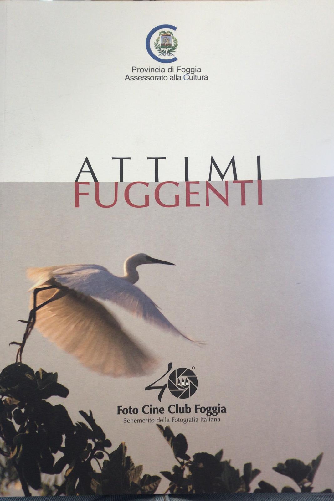 Attimi fuggenti